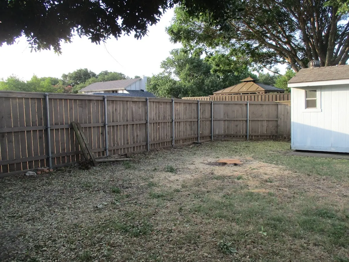 Cleared yard after professional tree removal in North Buena Vista