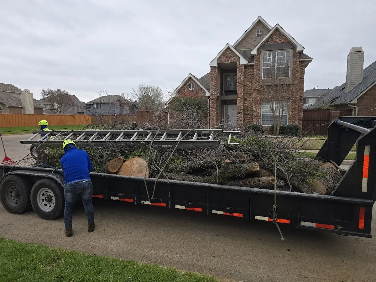Expert Lot Clearing with proper safety equipment in North Buena Vista